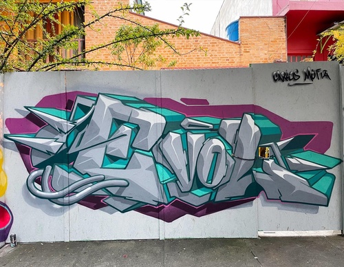 Gallery Of Street Art By Denys Evol - Brazil
