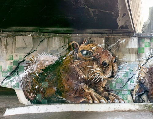 Gallery Of Street Art By Bordalo - Portugal