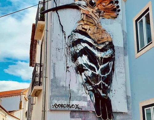 Gallery Of Street Art By Bordalo - Portugal