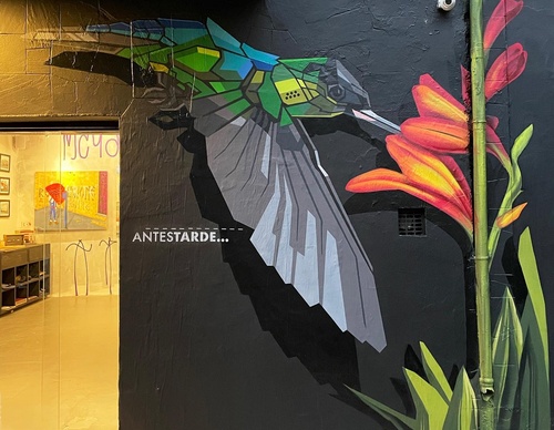 Gallery Of Street Art By Denys Evol - Brazil