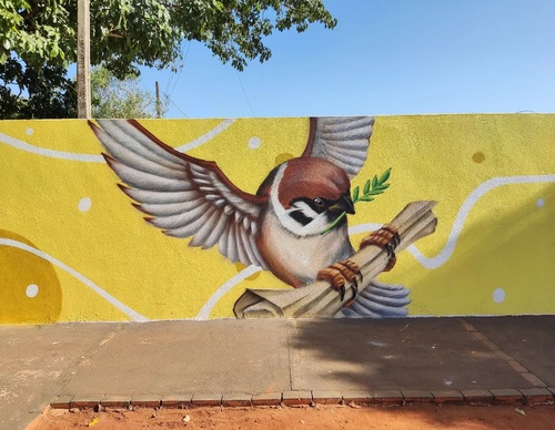 Gallery Of Street Art By Zion - Brazil