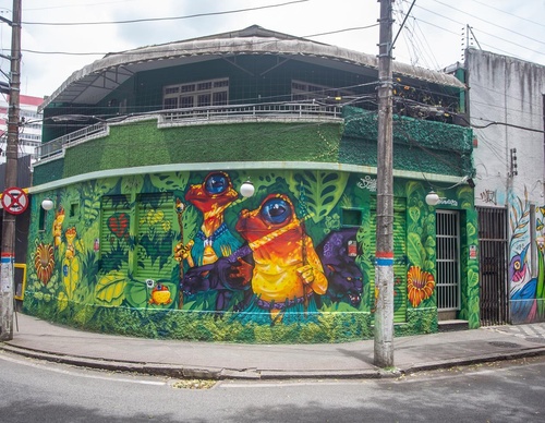 Gallery Of Street Art By Bigod O Sapo - Brazil