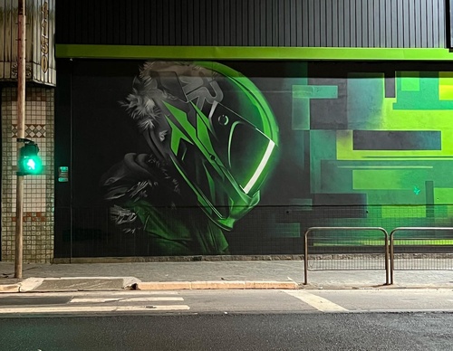 Gallery Of Street Art By Snek - Brazil