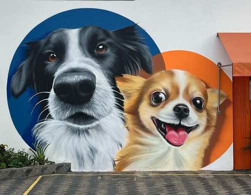 Gallery Of Street Art By Snek - Brazil
