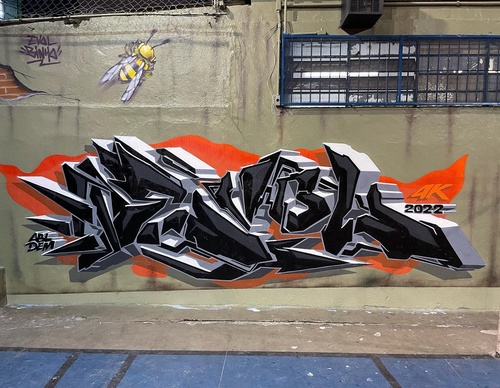 Gallery Of Street Art By Denys Evol - Brazil