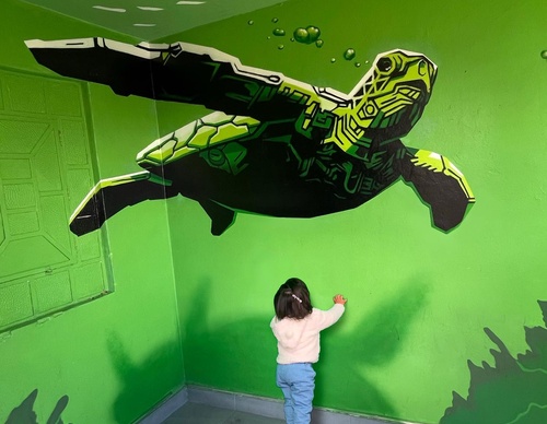 Gallery Of Street Art By Denys Evol - Brazil