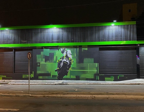 Gallery Of Street Art By Snek - Brazil