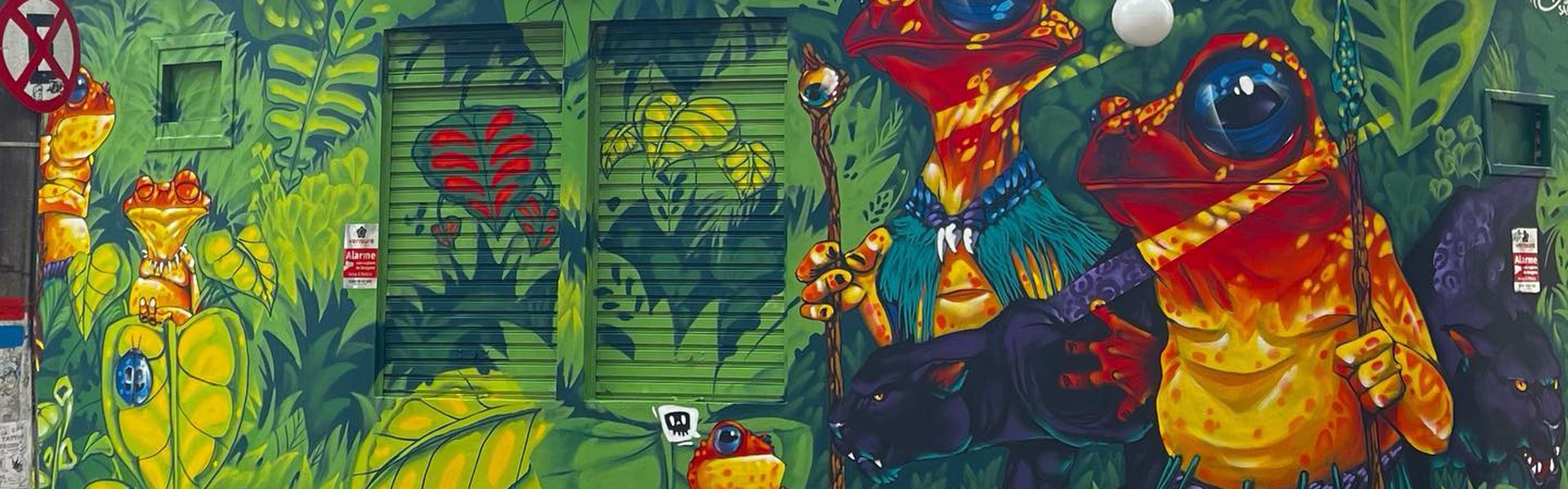 Gallery Of Street Art By Bigod O Sapo - Brazil