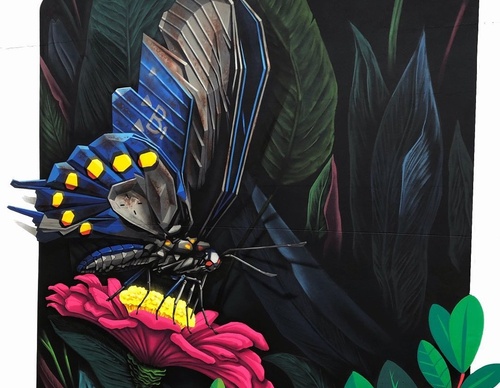 Gallery Of Street Art By Denys Evol - Brazil