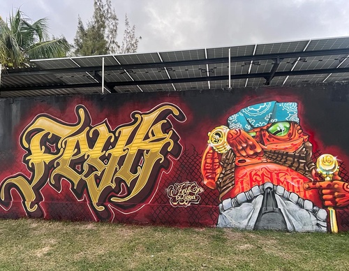 Gallery Of Street Art By Bigod O Sapo - Brazil
