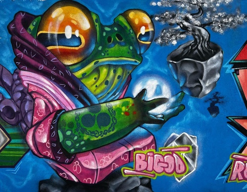 Gallery Of Street Art By Bigod O Sapo - Brazil