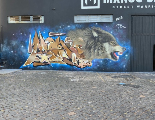 Gallery Of Street Art By Zion - Brazil
