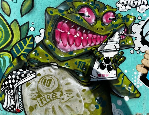 Gallery Of Street Art By Bigod O Sapo - Brazil