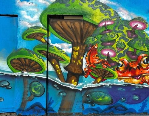 Gallery Of Street Art By Bigod O Sapo - Brazil
