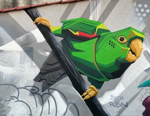 Gallery Of Street Art By Denys Evol - Brazil
