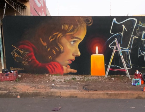 Gallery Of Street Art By Zion - Brazil