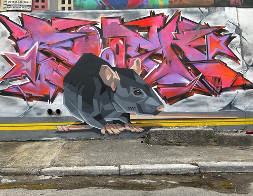 Gallery Of Street Art By Denys Evol - Brazil