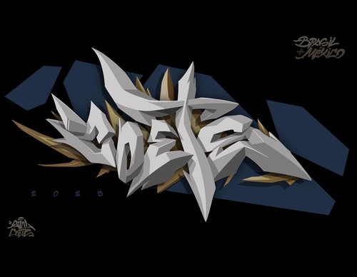 Gallery Of Street Art By Denys Evol - Brazil