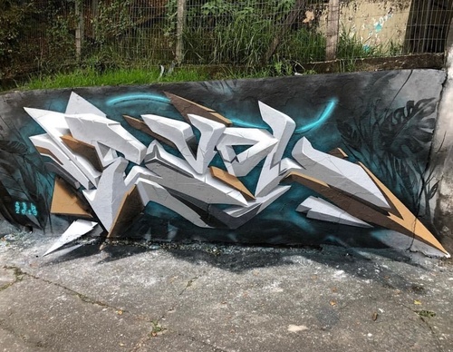 Gallery Of Street Art By Denys Evol - Brazil