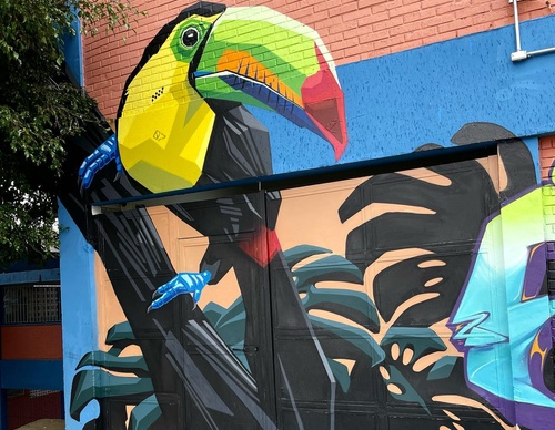 Gallery Of Street Art By Denys Evol - Brazil
