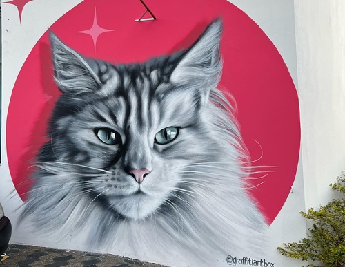 Gallery Of Street Art By Snek - Brazil