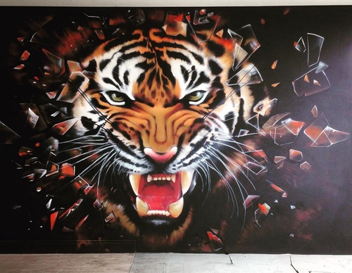 Gallery Of Street Art By Snek - Brazil