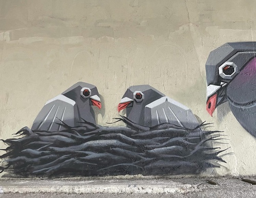 Gallery Of Street Art By Denys Evol - Brazil