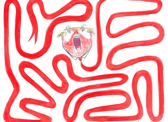 Ann Telnaes
