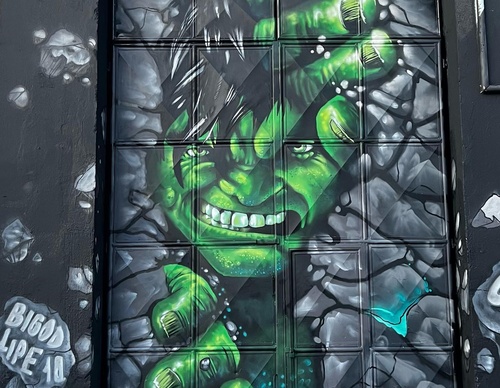 Gallery Of Street Art By Bigod O Sapo - Brazil