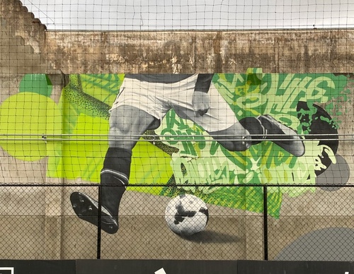Gallery Of Street Art By Snek - Brazil