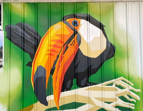 Gallery Of Street Art By Denys Evol - Brazil