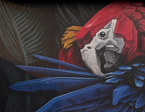 Gallery Of Street Art By Denys Evol - Brazil