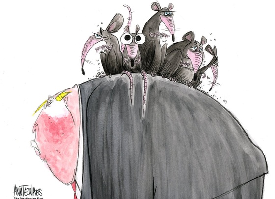 Ann Telnaes