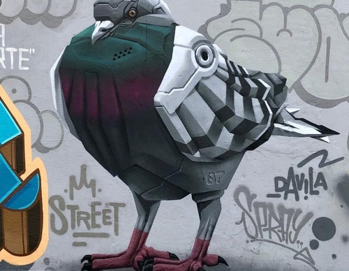 Gallery Of Street Art By Denys Evol - Brazil
