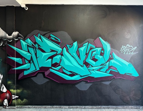 Gallery Of Street Art By Denys Evol - Brazil