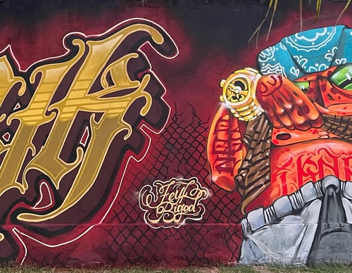 Gallery Of Street Art By Bigod O Sapo - Brazil