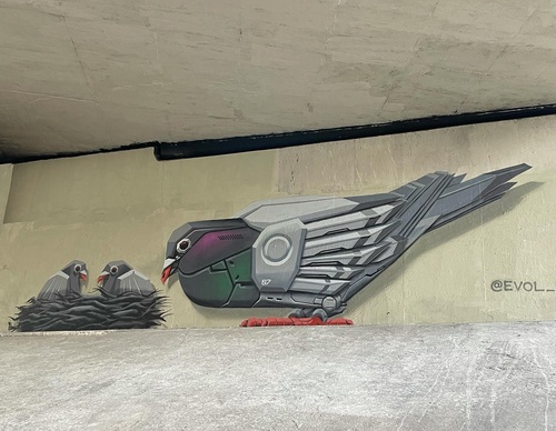 Gallery Of Street Art By Denys Evol - Brazil