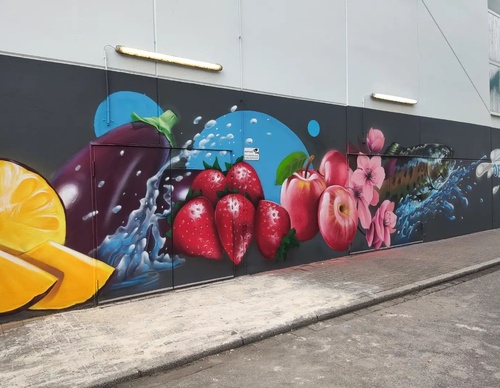 Gallery Of Street Art By Zion - Brazil