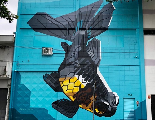 Gallery Of Street Art By Denys Evol - Brazil