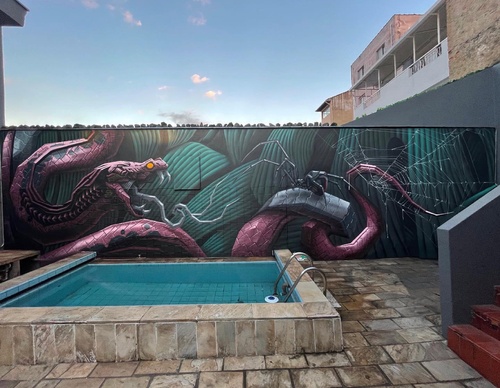 Gallery Of Street Art By Denys Evol - Brazil