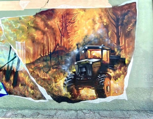Gallery Of Street Art By Zion - Brazil