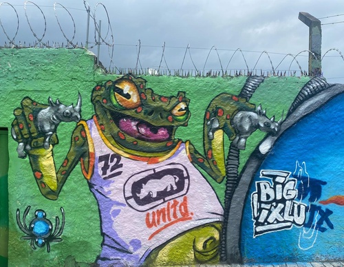 Gallery Of Street Art By Bigod O Sapo - Brazil