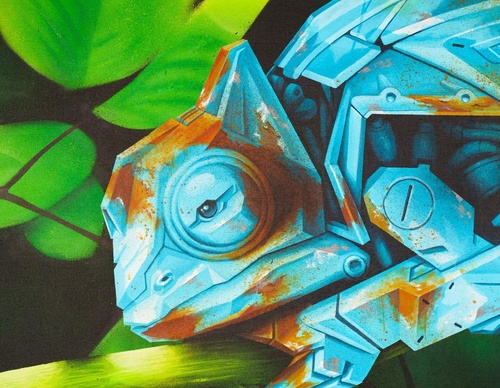 Gallery Of Street Art By Denys Evol - Brazil