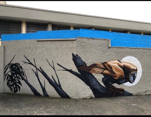 Gallery Of Street Art By Denys Evol - Brazil