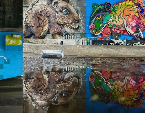 Gallery Of Street Art By Bordalo - Portugal