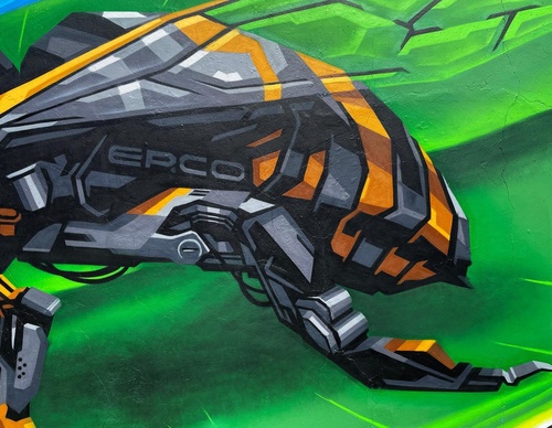 Gallery Of Street Art By Denys Evol - Brazil
