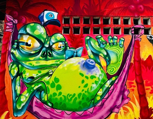Gallery Of Street Art By Bigod O Sapo - Brazil