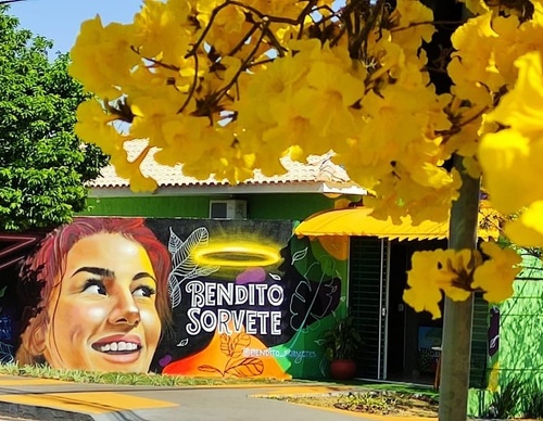 Gallery Of Street Art By Zion - Brazil