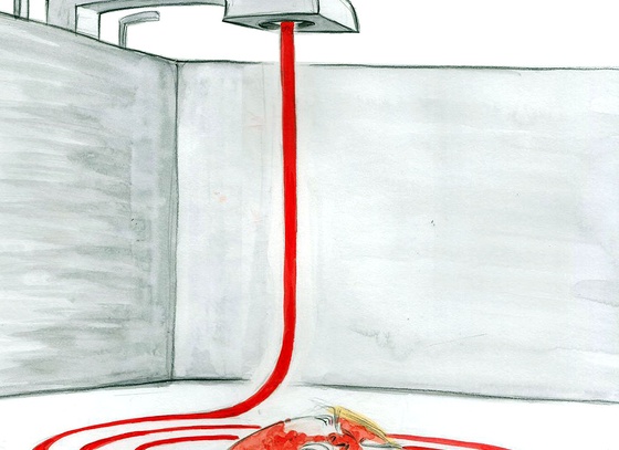 Ann Telnaes