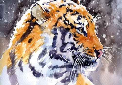 Gallery of Watercolor painting by Ekaterina Pahomova